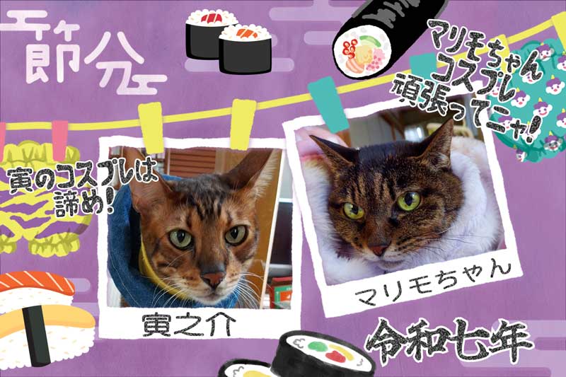 03-寅とマリモ_PicCollage_2025-02-07_22_47_01