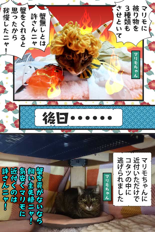 18-怒ったマリモちゃん_Photoroom-20250220_171534