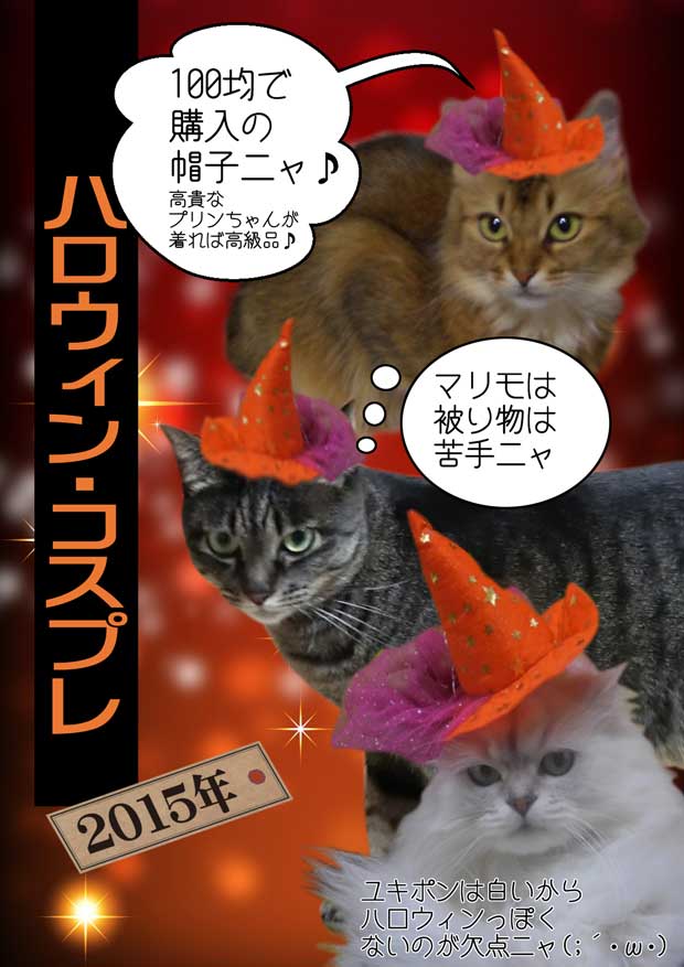 2015-10-29-木-ハロウィン-b-とんがり帽子