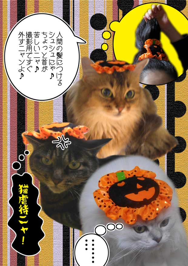 2015-10-29-木-ハロウィン-c-シュシュ