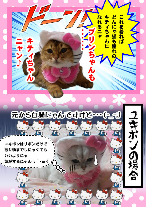 2015-11-01-日-c-キティちゃん誕生日-2