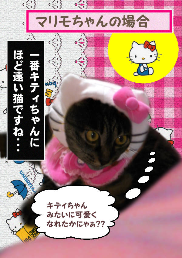 2015-11-01-日-d-キティちゃん誕生日-3