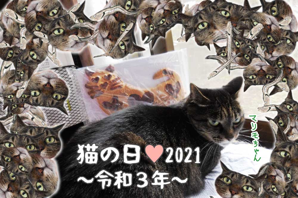 猫の日2021の猫様への献上品の数々ニャ♪