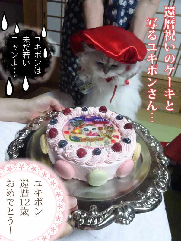 07-還暦祝いのケーキとユキポンさん