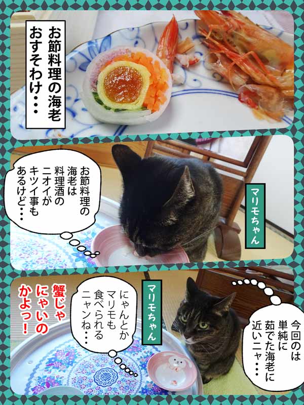 09-海老を食べるマリモちゃん