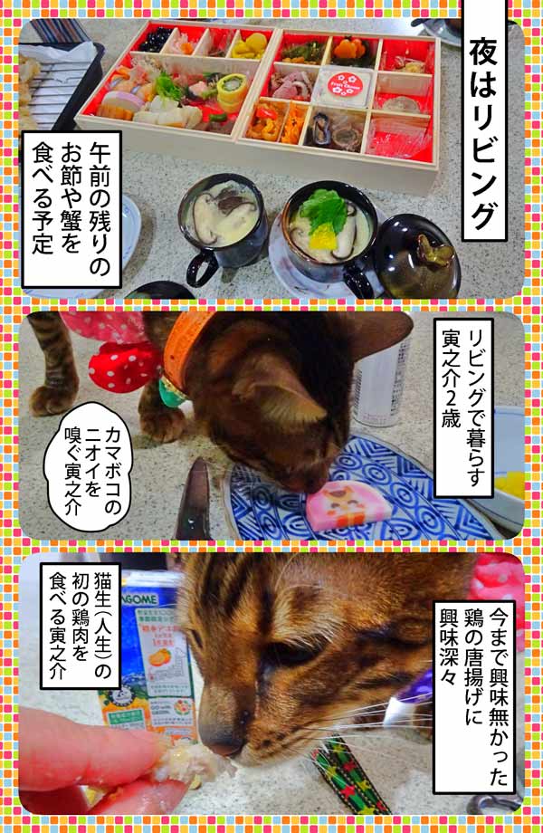 13-夕食_collage