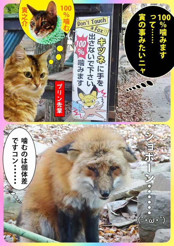 07-キツネ村_collage