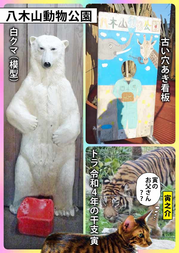 11-八木山動物園_collage