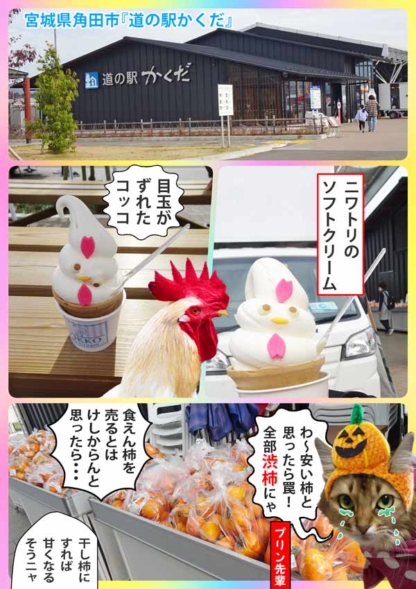 12-道の駅_collage