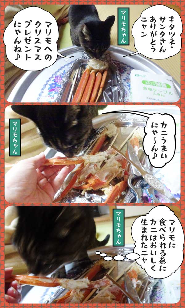 22-蟹マリモちゃん-a_collage