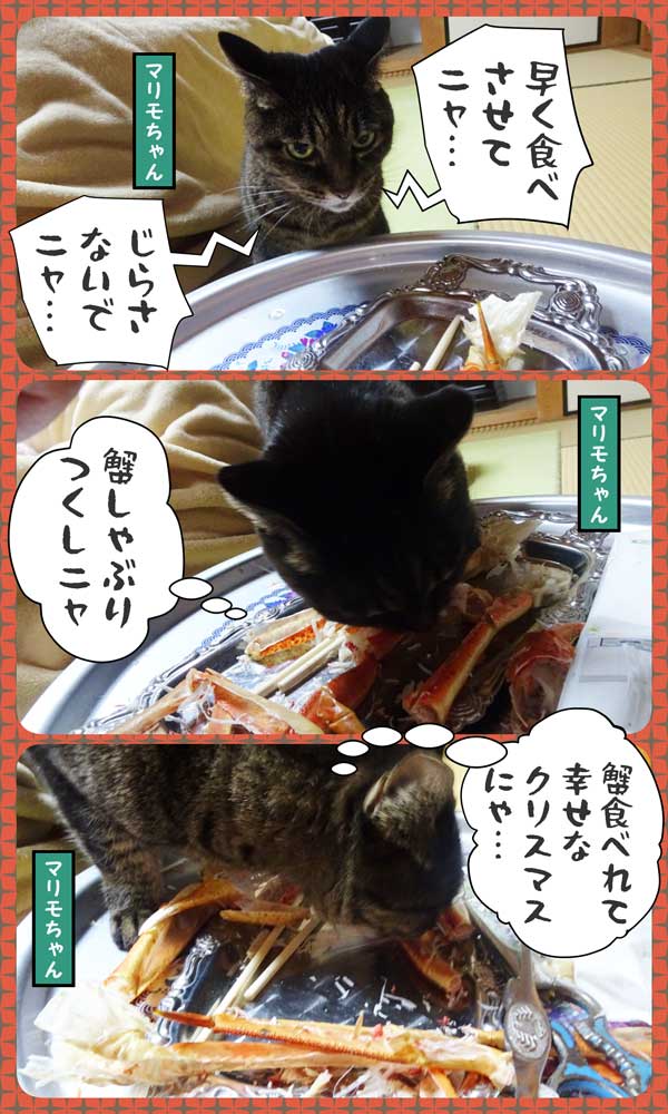 24-蟹マリモちゃん-b_collage