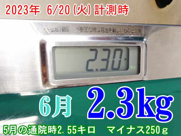 02-マリモちゃんの体重-6月_DSC02498