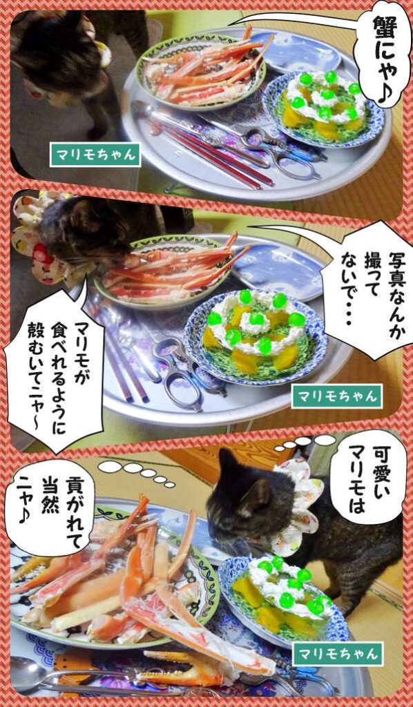 11-蟹を食べるマリモちゃん_collage