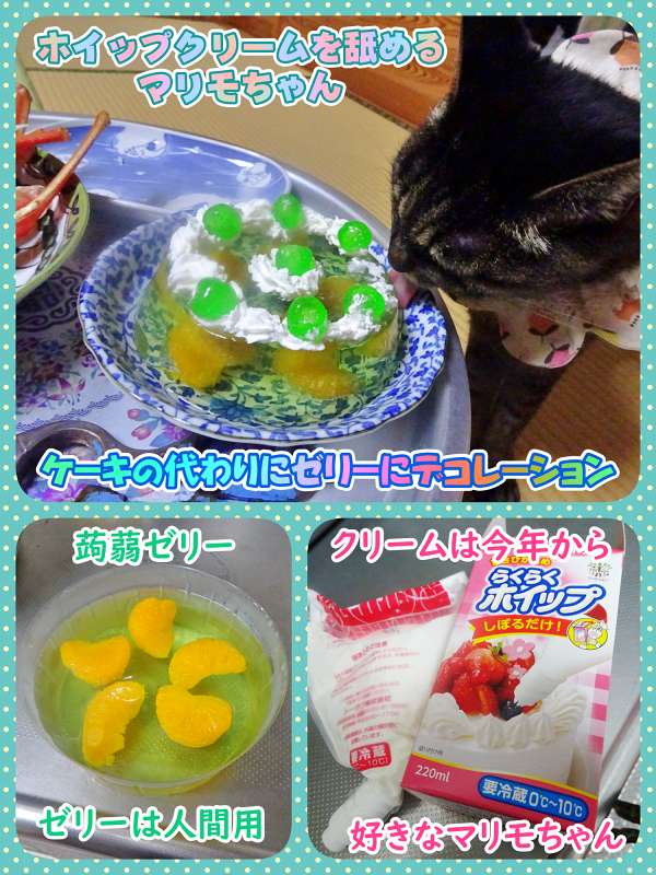 12-ホイップクリーム食べるマリモちゃん_collage