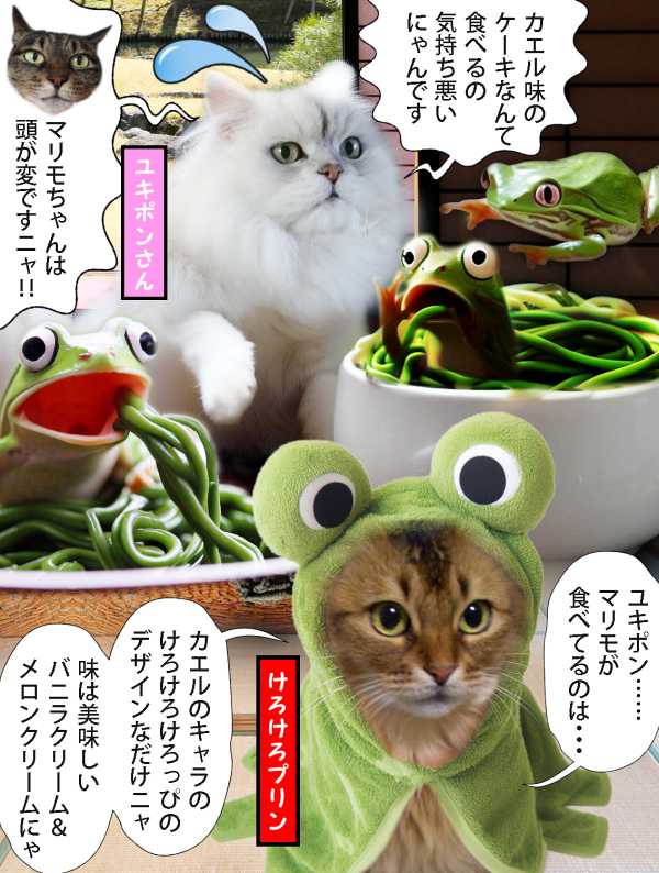18-F3-ユキポンさん_2023-05-23-Tue【Twitter】-アマガエルが緑茶蕎麦に入っていて食べようとした白いペルシャ猫が驚く