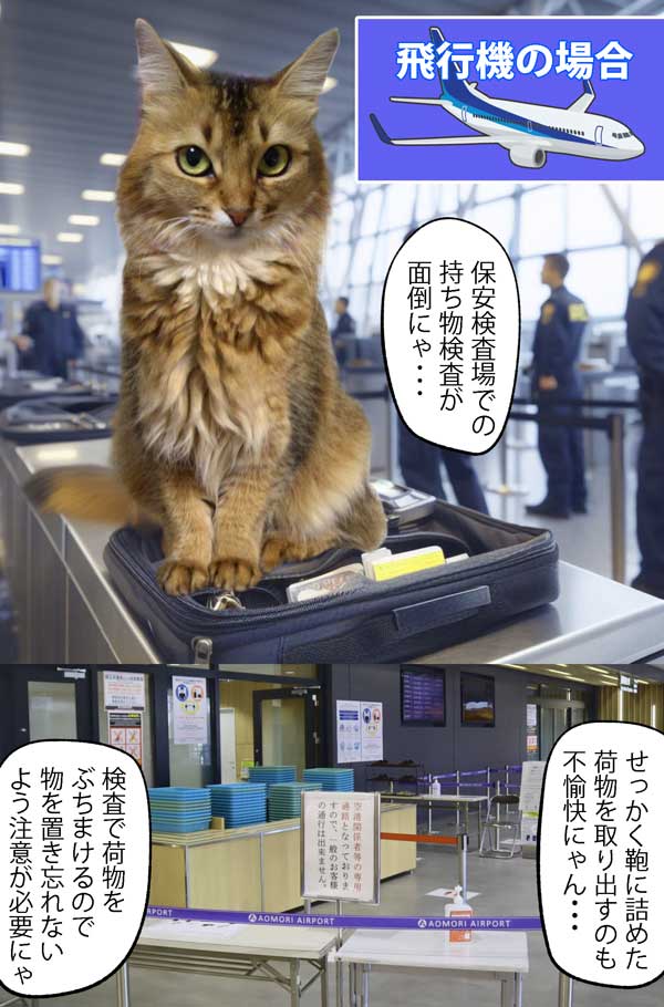 06-空港の保安検査場にいるソマリ猫