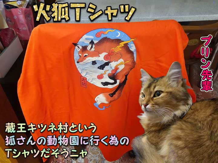 11-火狐Tシャツ_DSC04180