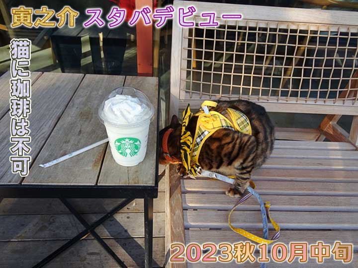 11-猫に珈琲は不可_DSC04066_PhotoScape