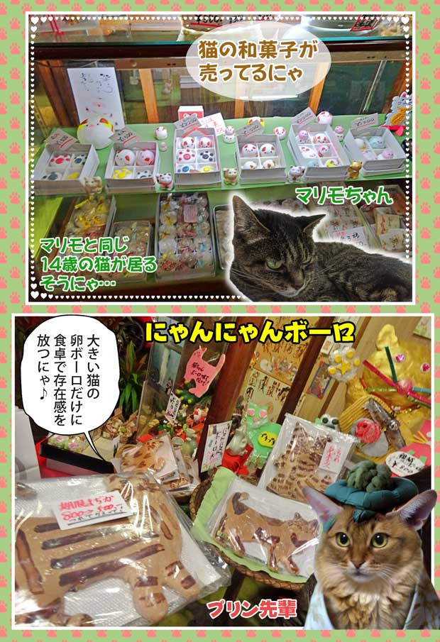 06-猫の和菓子屋とらや-a
