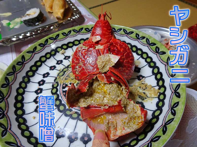 15-b5-ヤシガニの蟹味噌_DSC06591