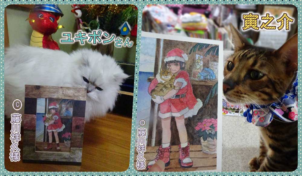 27-藤川さんからのクリスマスカード_2023-12-25-Mon_collage