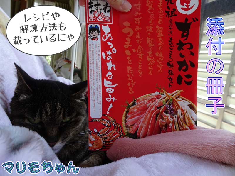 16-添付の冊子_DSC09766