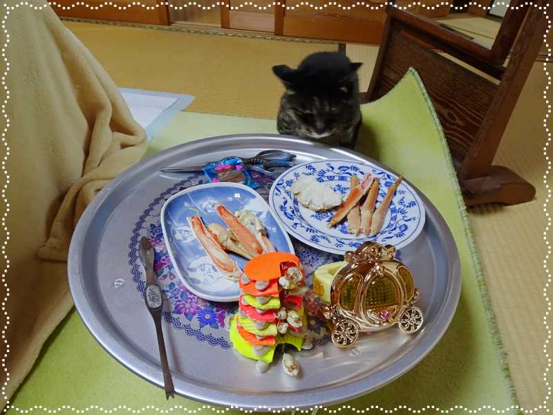 30-マリモちゃんにあげる蟹_DSC00656