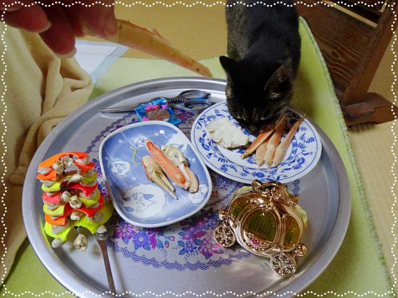 31-蟹に夢中のマリモちゃん_DSC00658