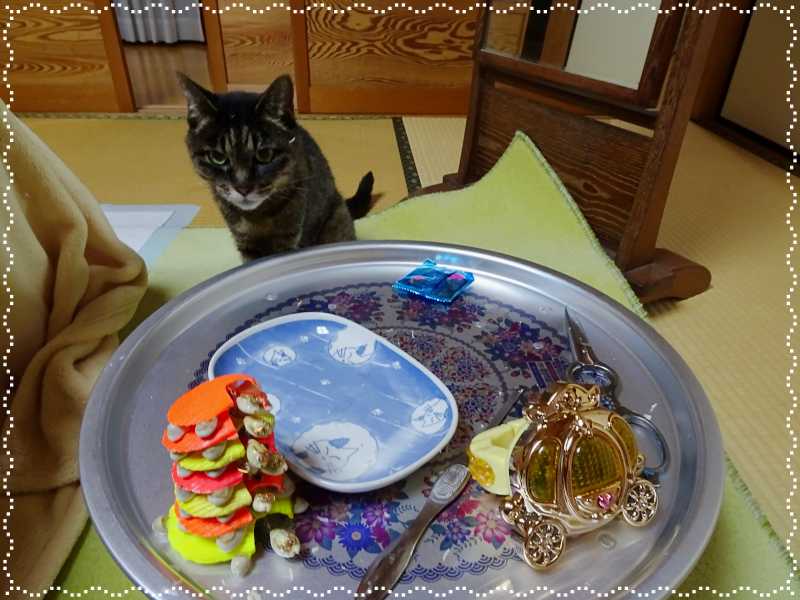 34-蟹を食べ終わる_DSC00668