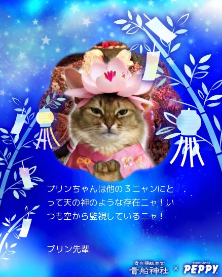 03-プリン先輩_peppycard_tanabata2024_45701