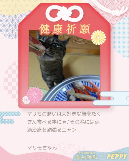 05-マリモちゃん_peppycard_tanabata2024_45703