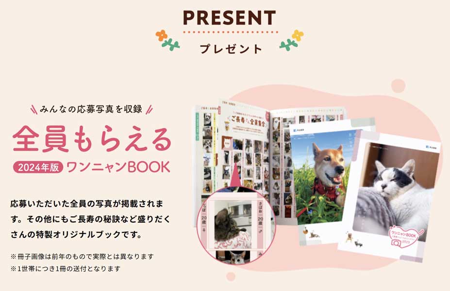 02-animaLabo公式_スクリーンショット 2024-07-12 212216