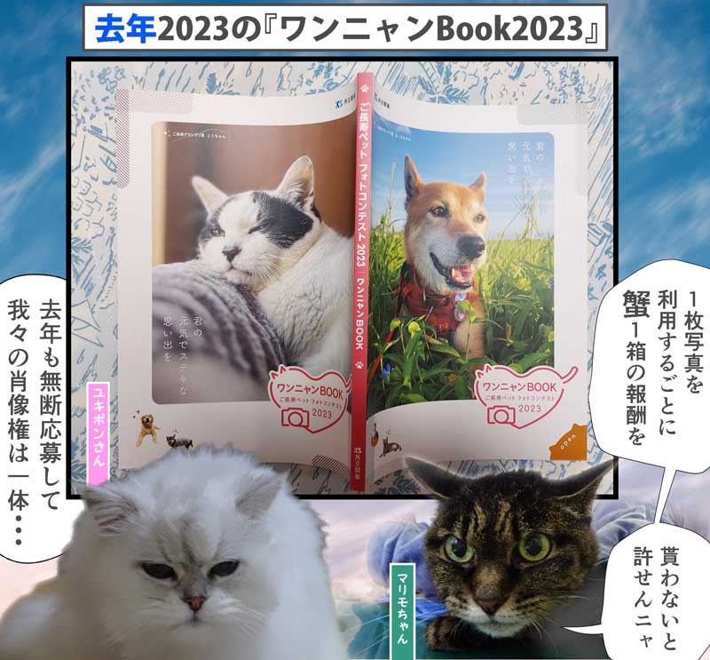 03-ワンニャンBook2023_20240712_204147