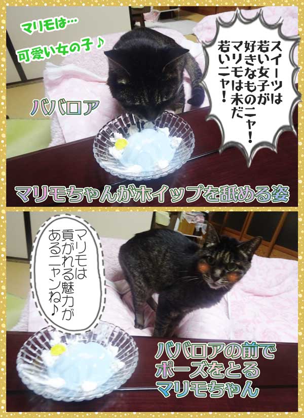 18-ババロア_DSC03658