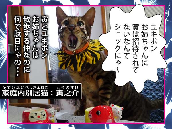 03-DSC00589-寅之介_2023年2月12日