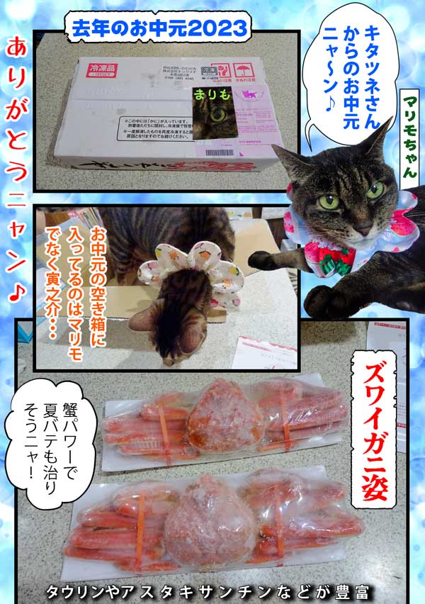07-ズワイガニ-頂き物