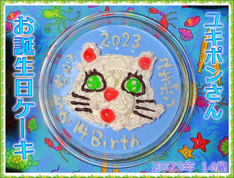 08-お誕生日ケーキ_DSC03103