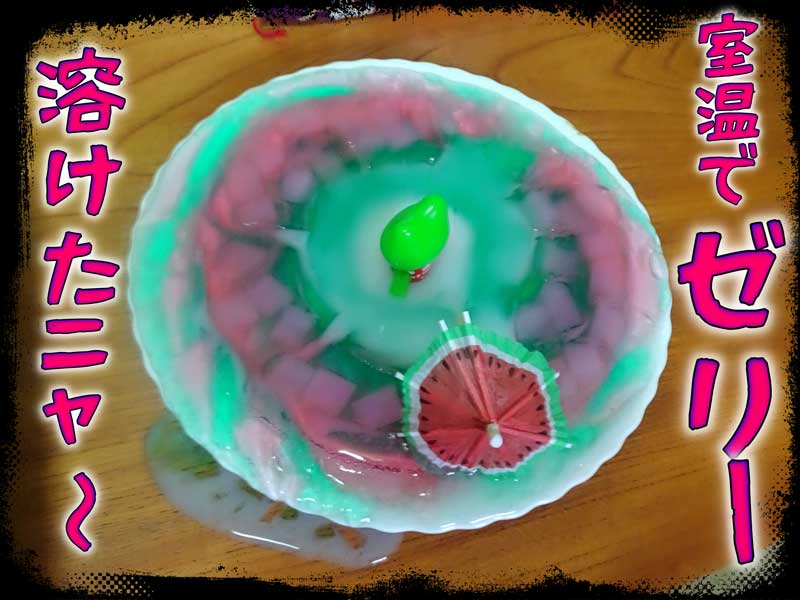 11-スイカゼリーは溶けた_DSC03154