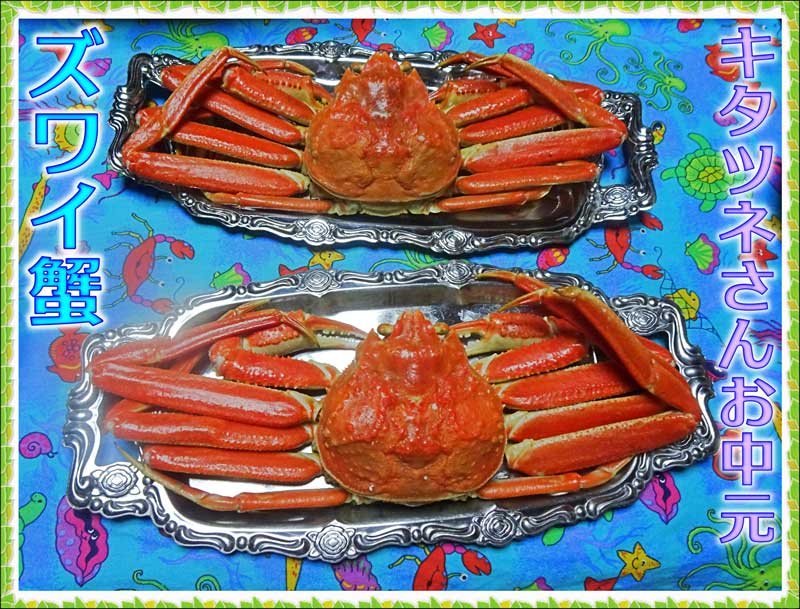 14-ズワイガニ_DSC03126