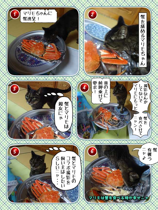 15-蟹を食べるマリモちゃん_collage