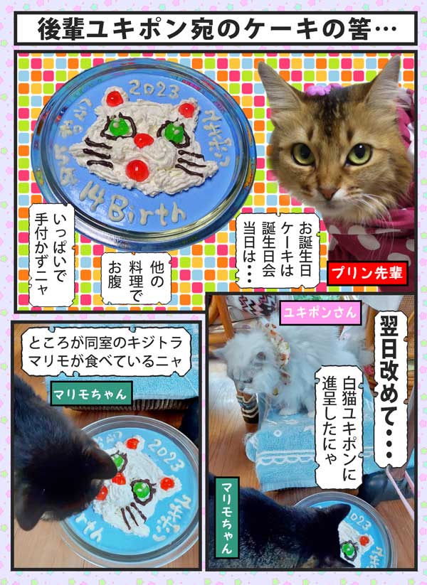 25-ケーキ進呈-A