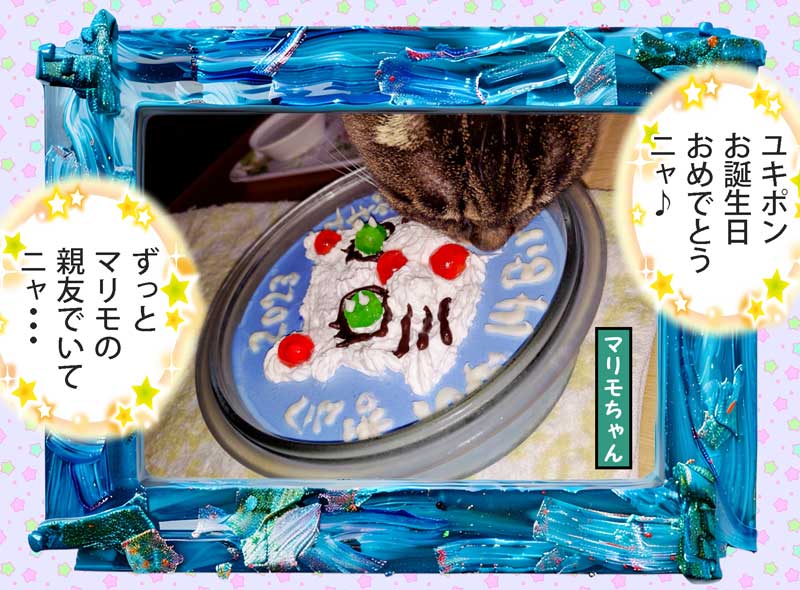 27-ケーキ進呈-C