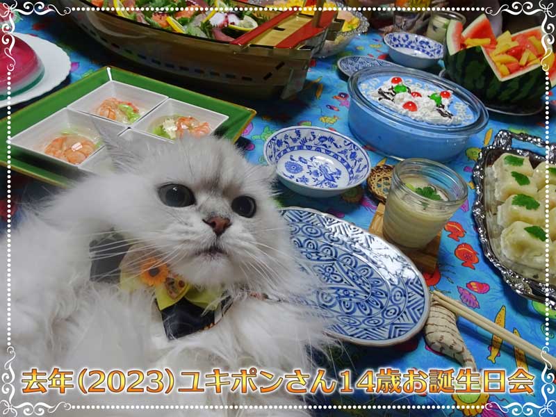 28-ユキポンさんのお誕生日会_DSC03137