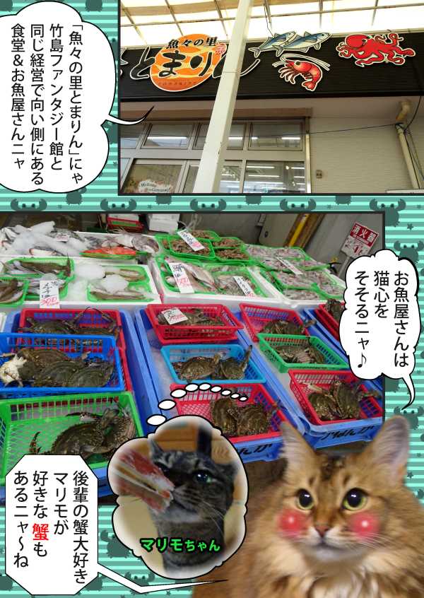 06-魚々の里とまりん