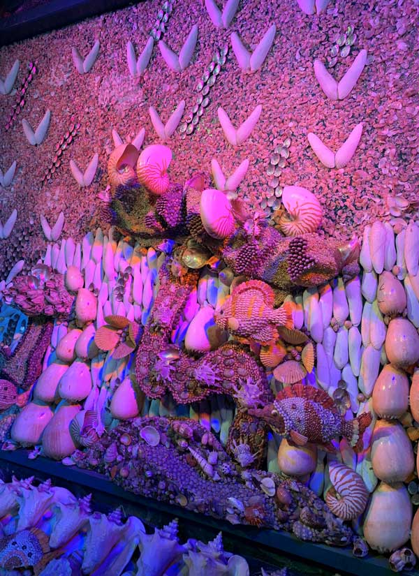 12-海底_IMG_7260_2024-06-27-Thu