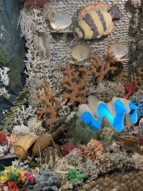 13-海底_IMG_7266_2024-06-27-Thu