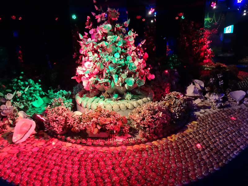 14-貝アート_DSC00207