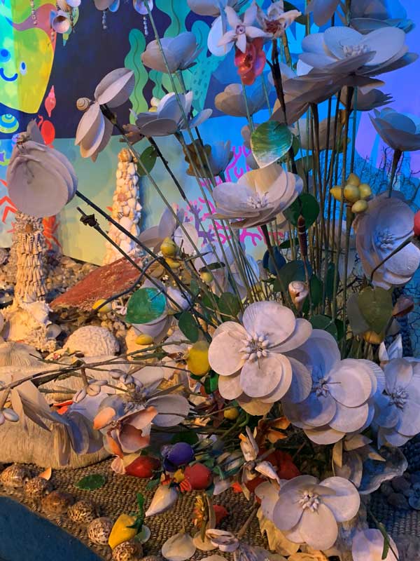 15-貝の花びら_IMG_7261_2024-06-27-Thu