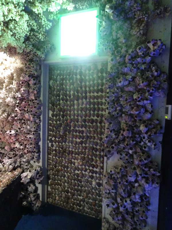 19-非常口_DSC00230