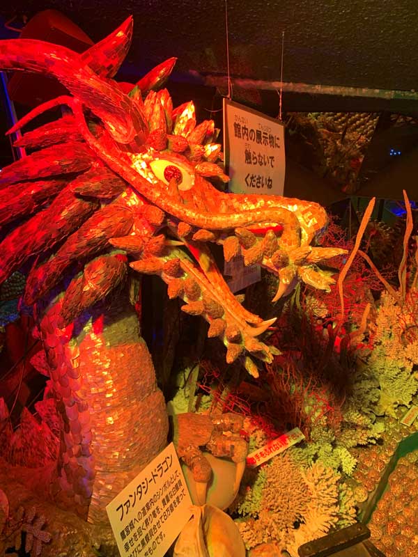 30-ファンタジードラゴン_IIMG_7279_2024-06-27-Thu